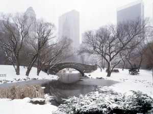 central-park-new-york-winter1